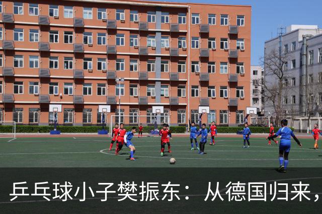 乒乓球小子樊振东：从德国归来，身份华丽转身！