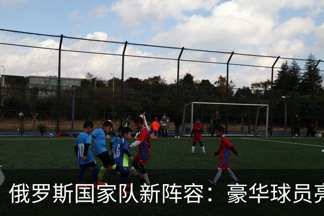 俄罗斯国家队新阵容：豪华球员亮相，笑点不断